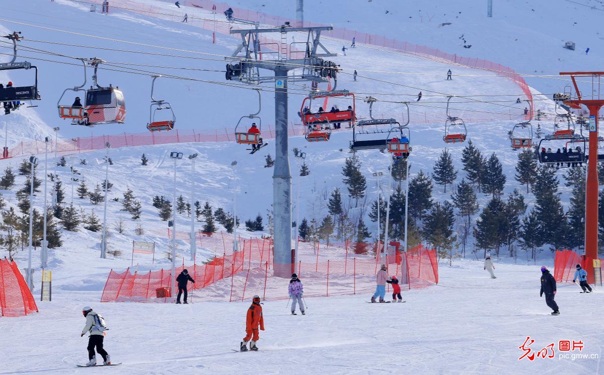 【冰雪暖民生】新手滑雪不踩坑 这5个知识点先拿捏