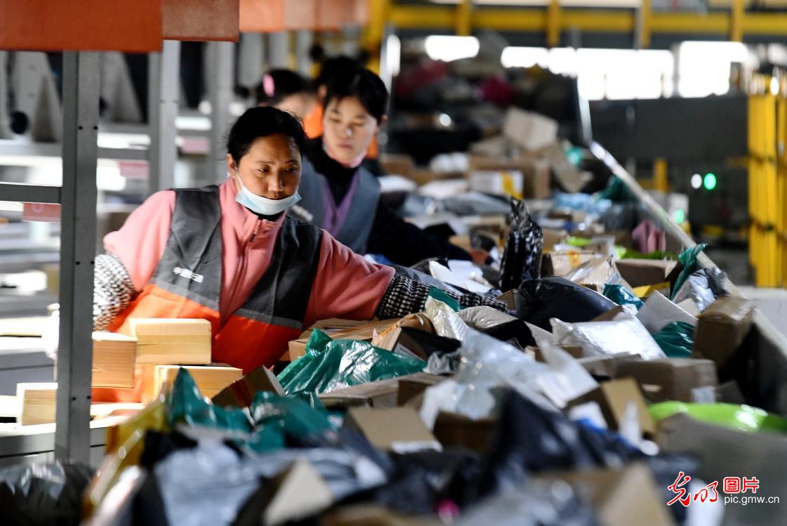 迎战“双十二” 快递分拣忙 迎战“双十二” 快递分拣忙