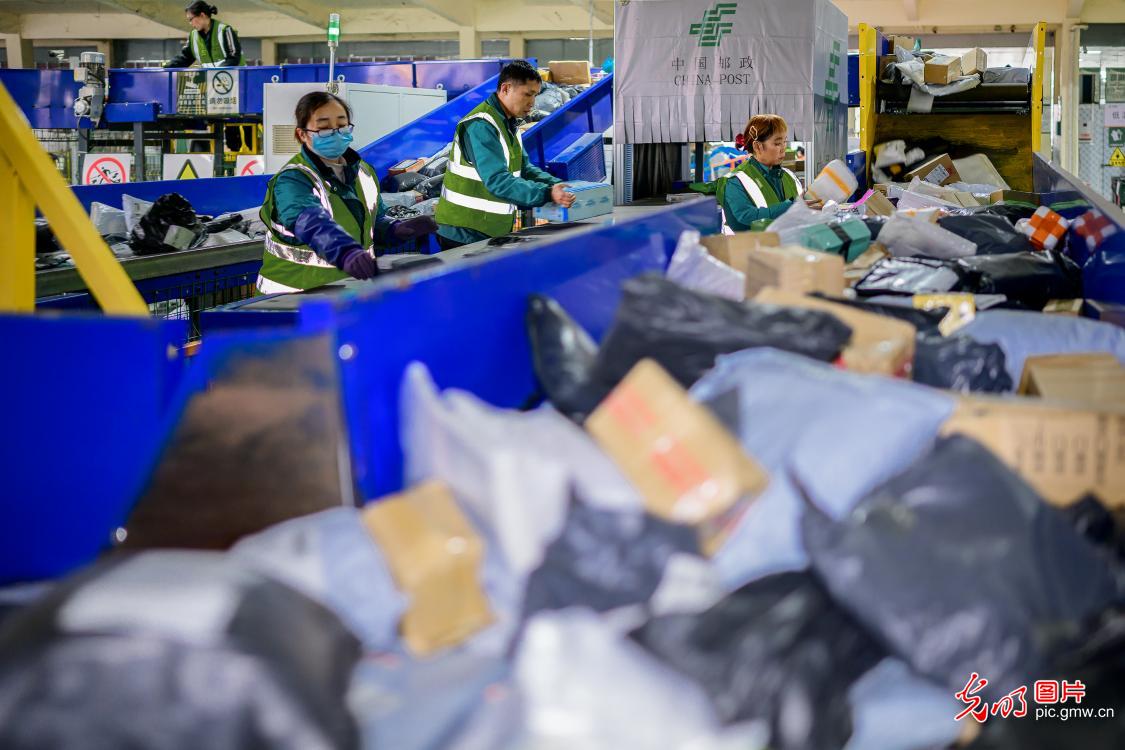 迎战“双十二” 快递分拣忙 迎战“双十二” 快递分拣忙