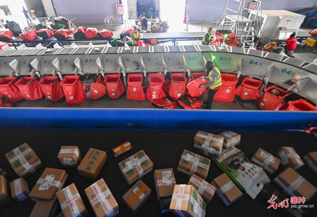 迎战“双十二” 快递分拣忙 迎战“双十二” 快递分拣忙