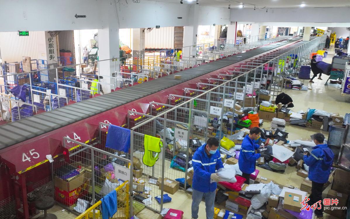 迎战“双十二” 快递分拣忙 迎战“双十二” 快递分拣忙