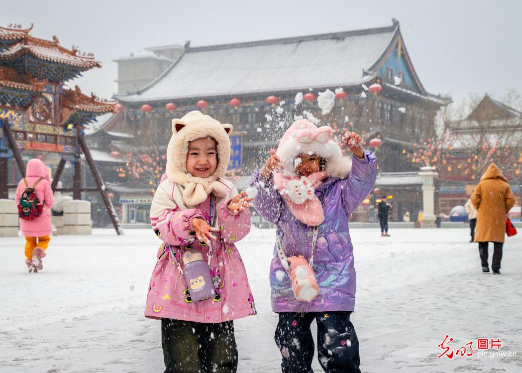 雪落青城 美景如画