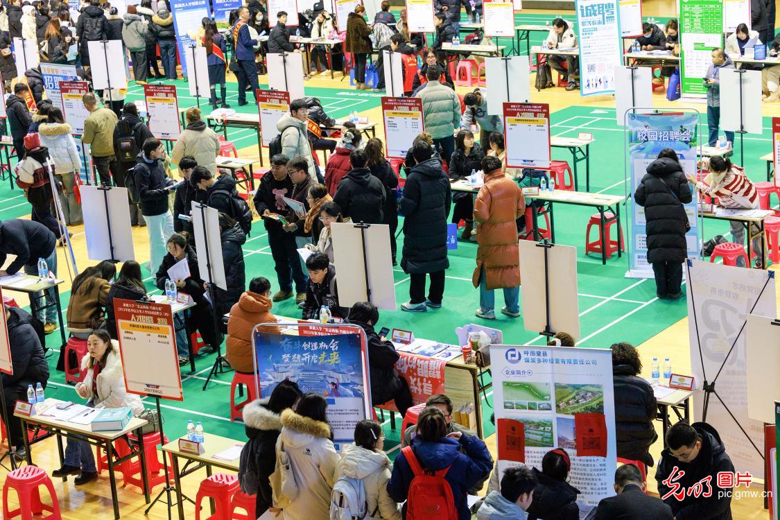 校园招聘助就业