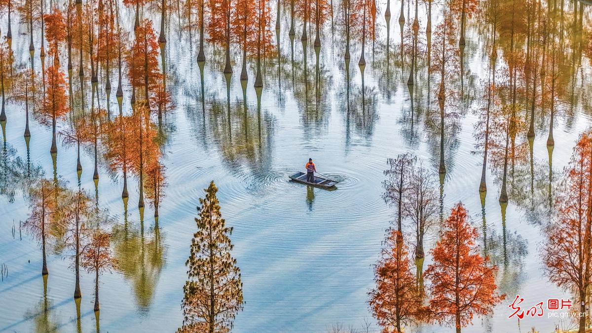 蟹塘管护 助力增产