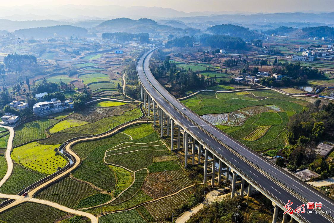 冬日乡村油菜田美如画