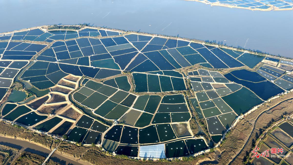 冬日养殖塘 大地“调色盘”