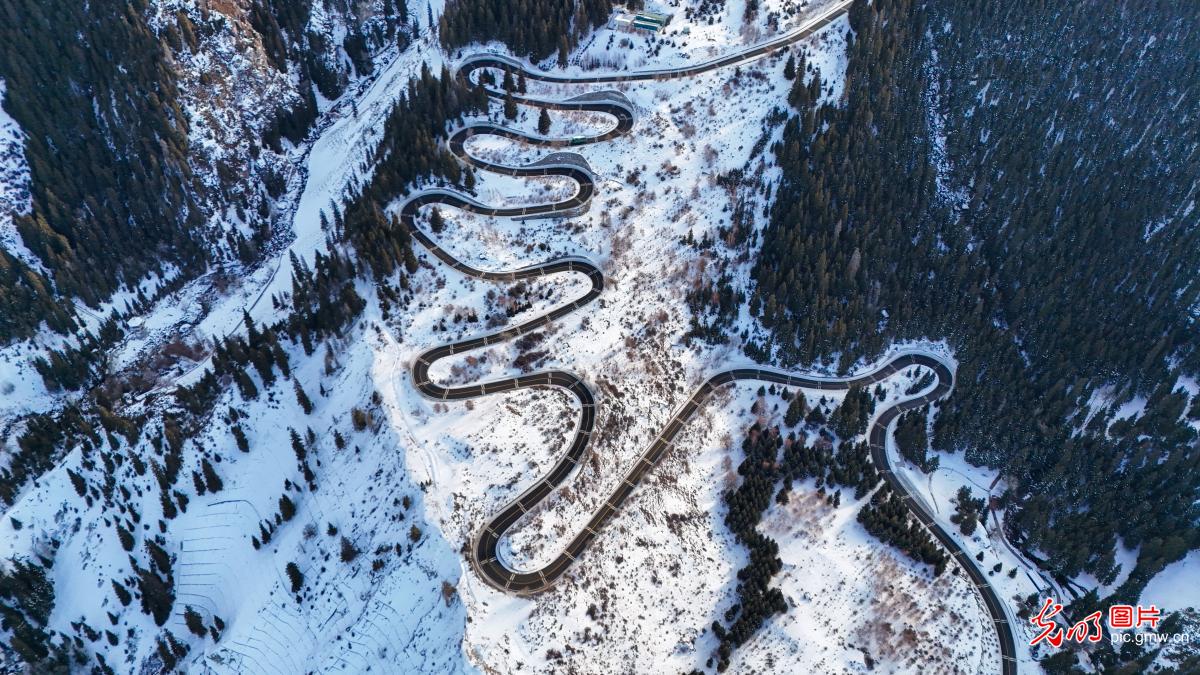 冬日美景迎客来