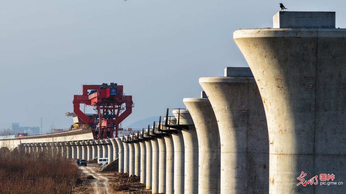济枣高铁施工有序推进