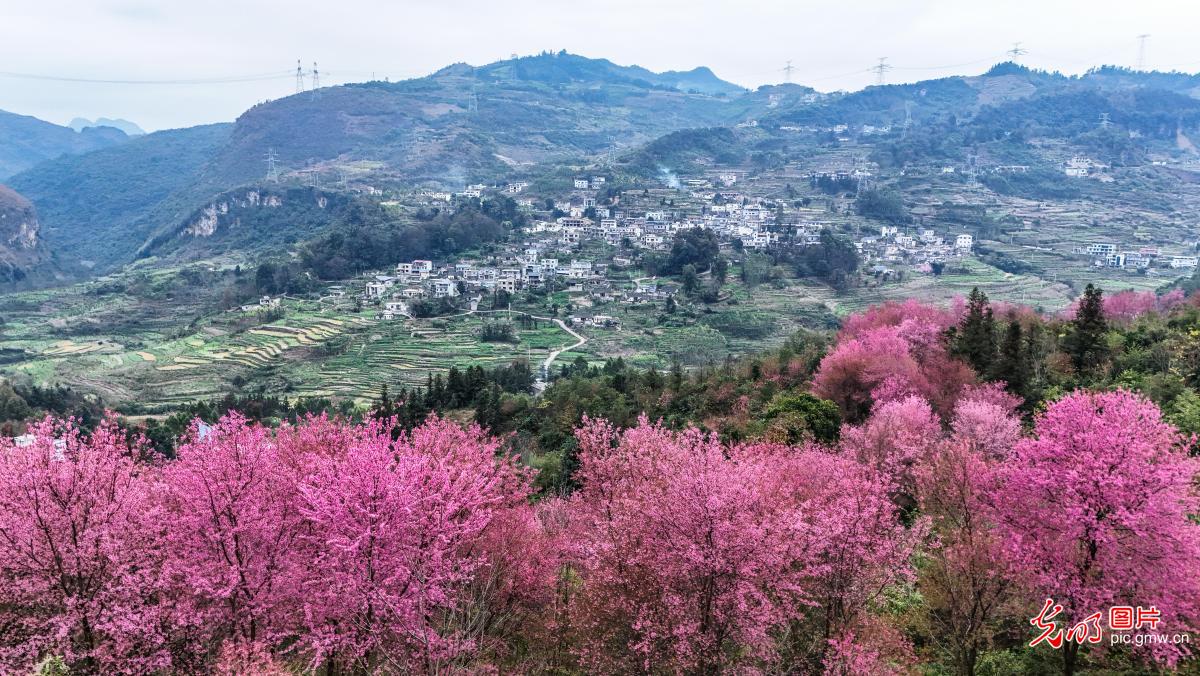 冬日乡村景色美