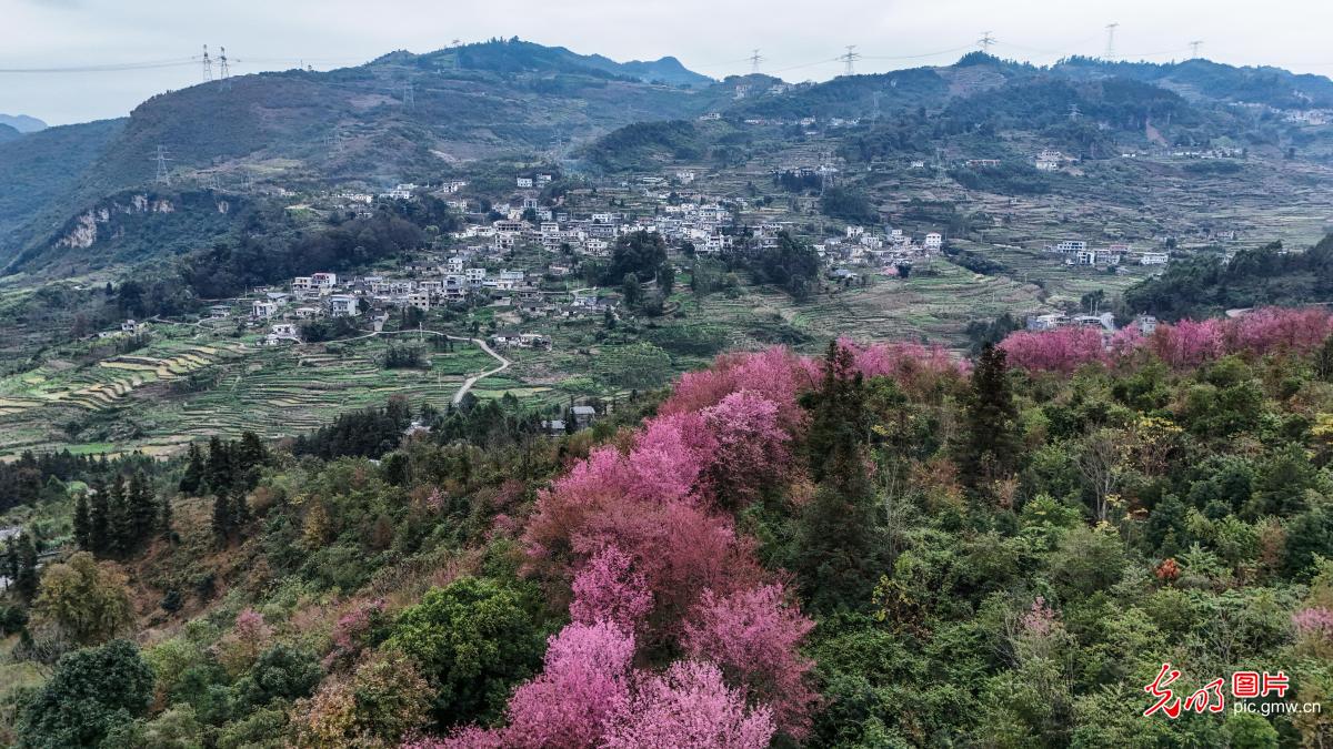 冬日乡村景色美