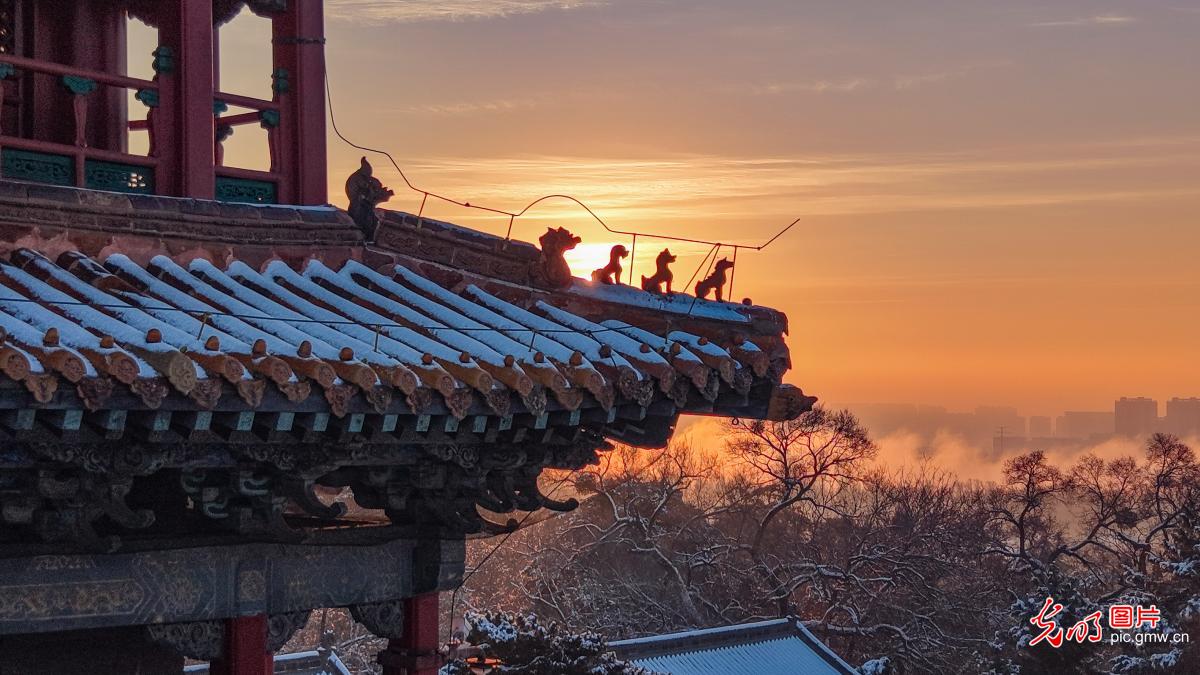 雪覆东陵承古韵 朝晖映殿绘冬图