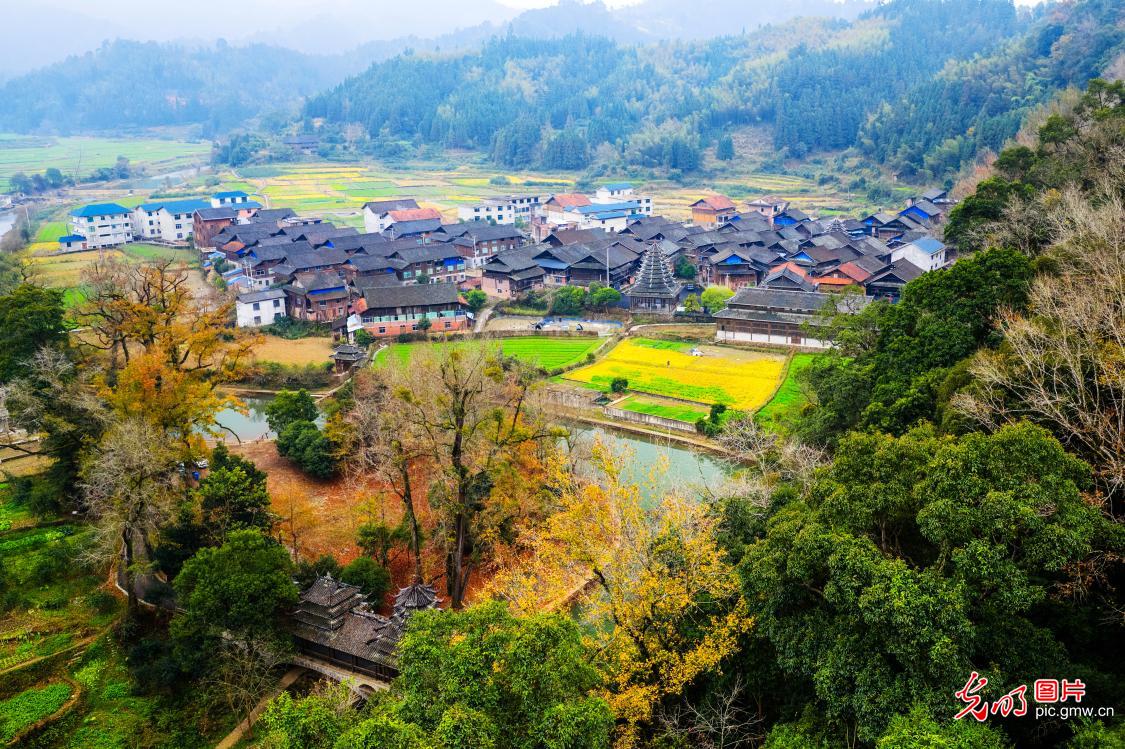 冬日山水入画来