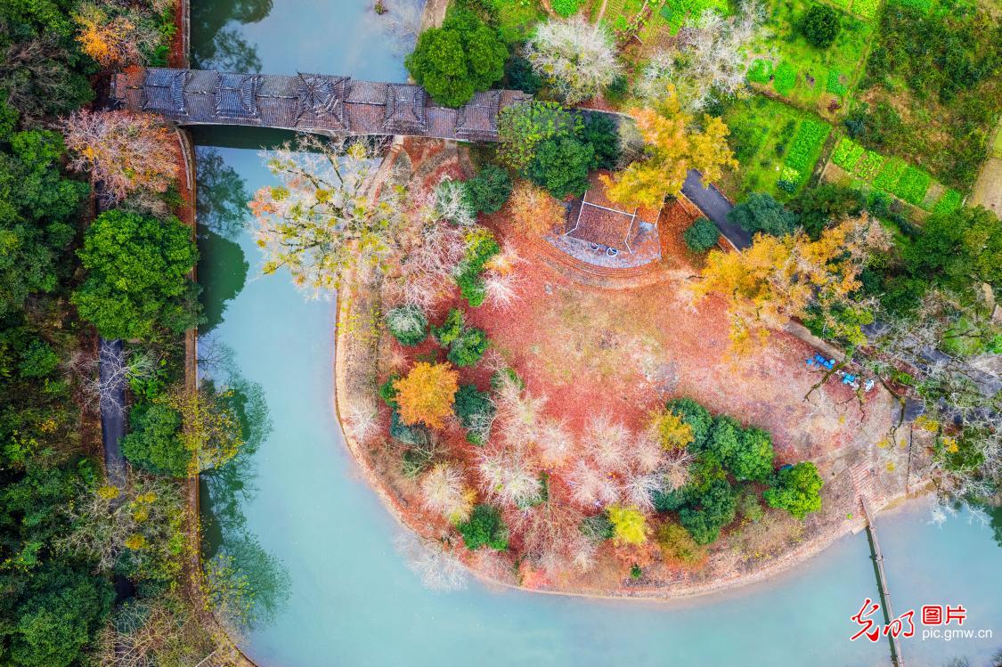 冬日山水入画来