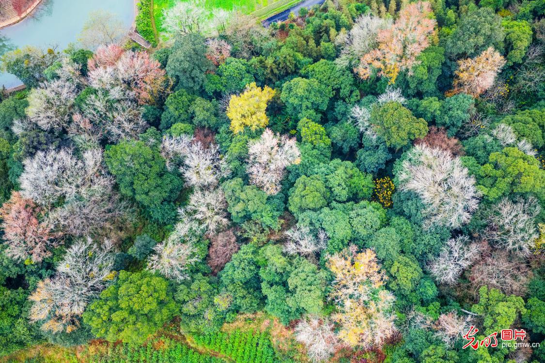 冬日山水入画来