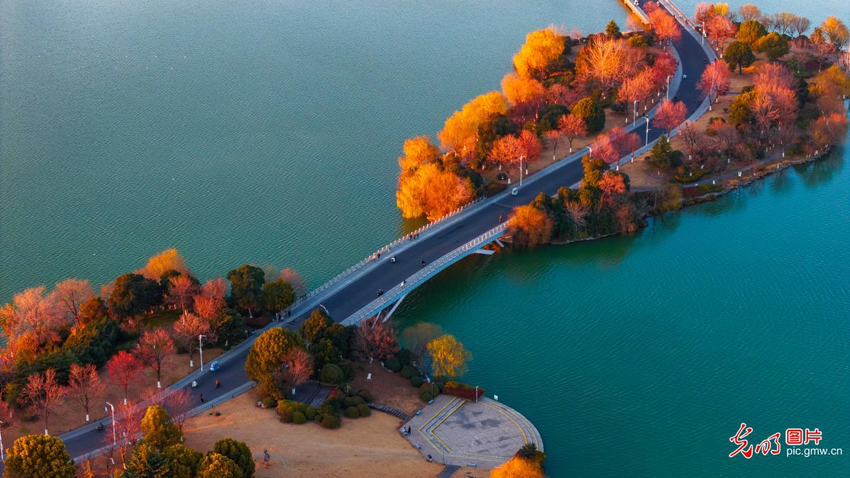 云龙湖冬景美如画