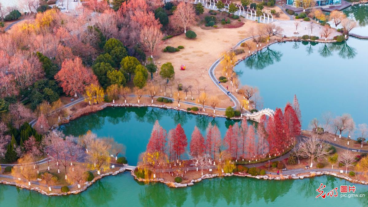 云龙湖冬景美如画