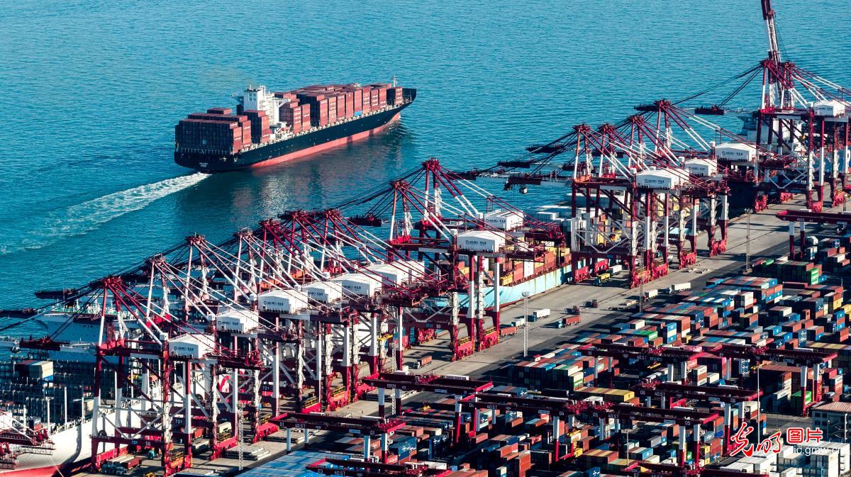 集装箱作业紧张繁忙 集装箱作业紧张繁忙