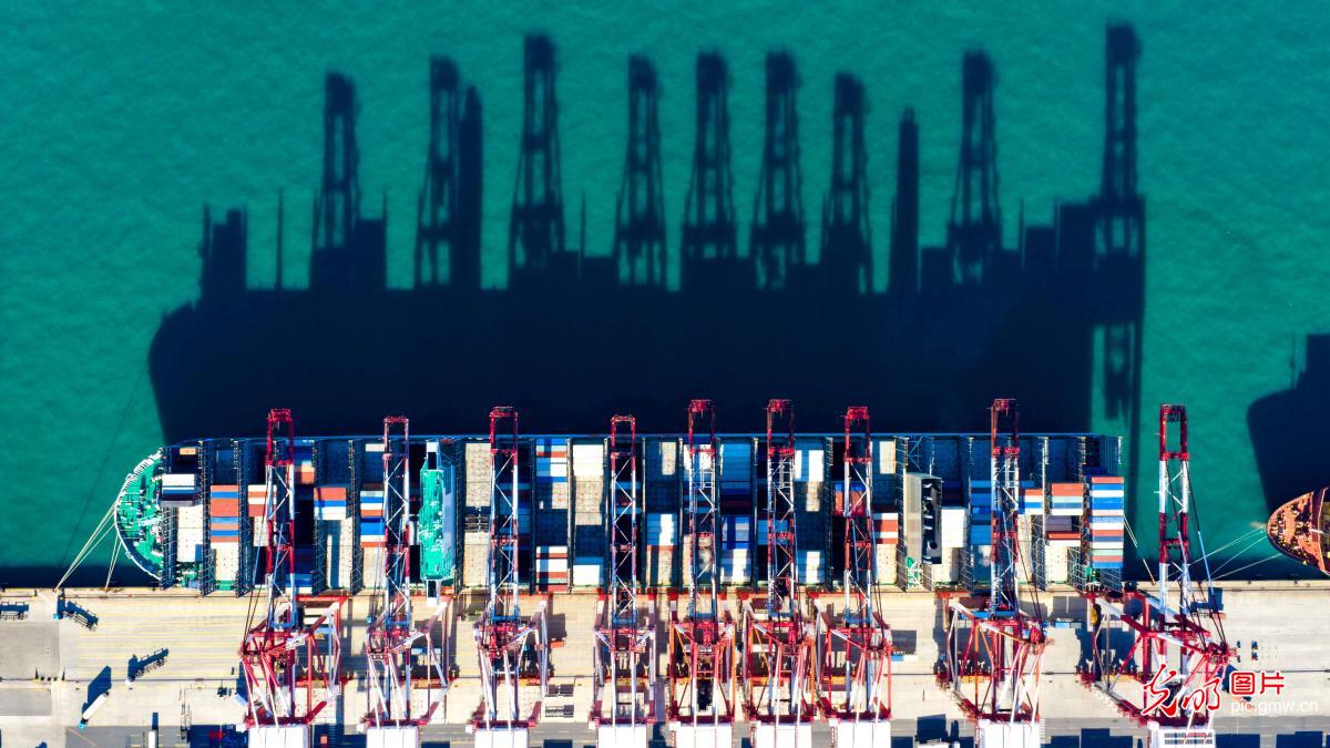 集装箱作业紧张繁忙 集装箱作业紧张繁忙