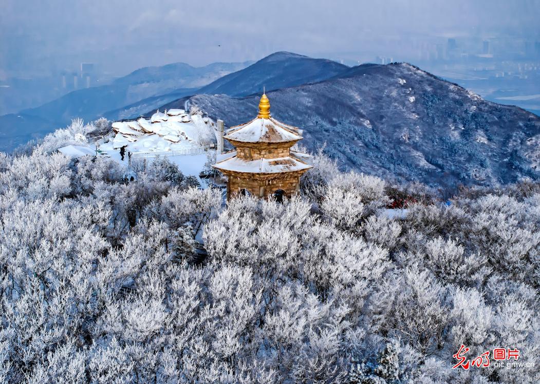 【冰天雪地的“热答卷”】冰天藏盛景 雪地焕生机 【冰天雪地的“热答卷”】冰天藏盛景 雪地焕生机