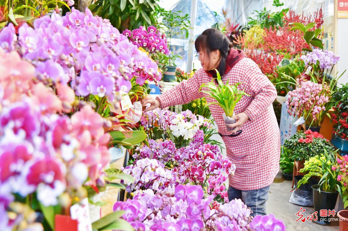“鲜花经济”点亮冬日生活 “鲜花经济”点亮冬日生活
