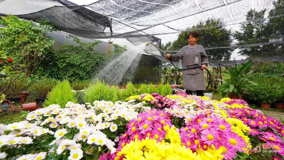 “鲜花经济”点亮冬日生活 “鲜花经济”点亮冬日生活