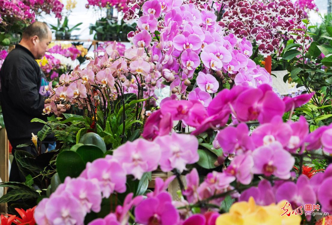 “鲜花经济”点亮冬日生活 “鲜花经济”点亮冬日生活