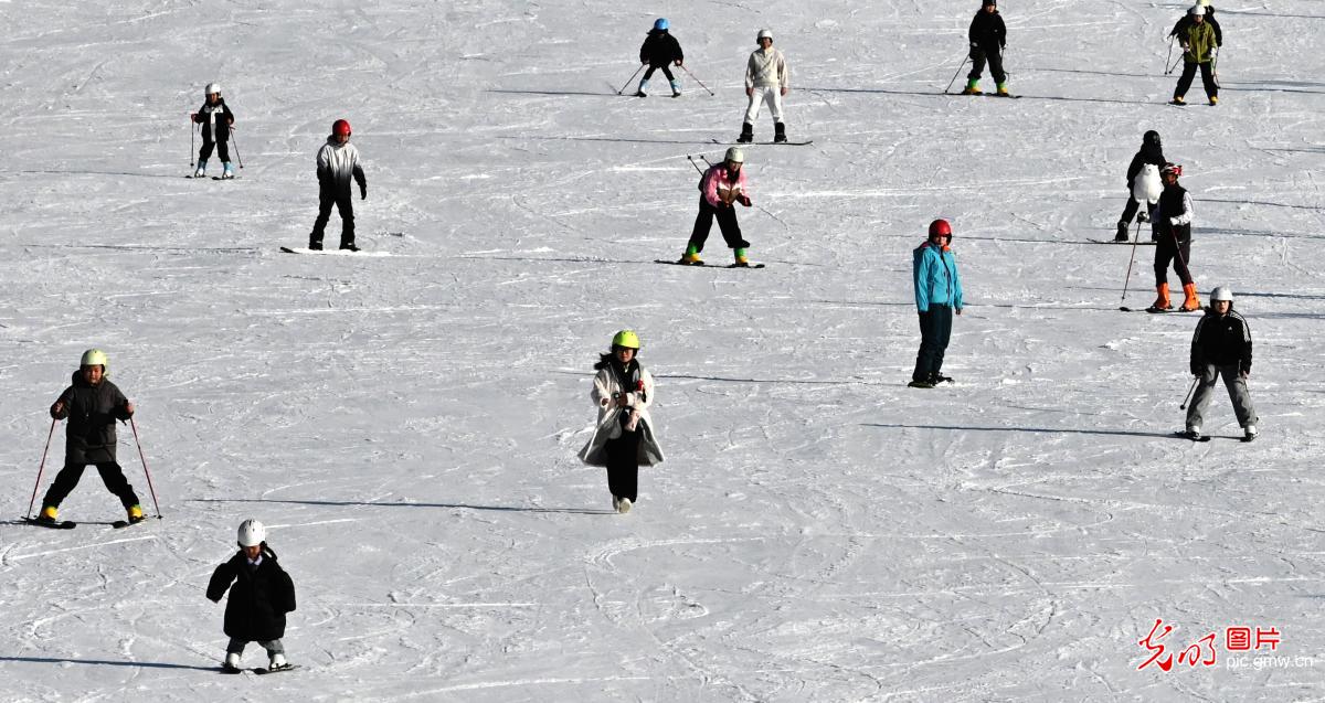 【冰天雪地的“热答卷”】驰骋冰雪间 涌动新经济 【冰天雪地的“热答卷”】驰骋冰雪间 涌动新经济