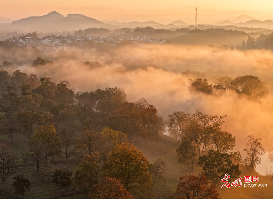 【AIGC动画】追光者的一天 【AIGC动画】追光者的一天