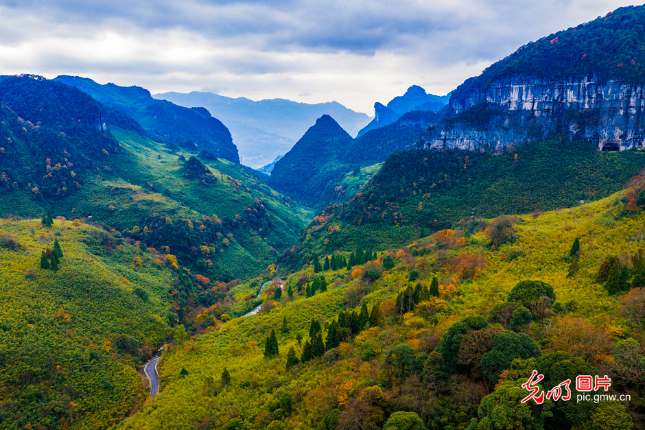 【AIGC动画】追光者的一天 【AIGC动画】追光者的一天