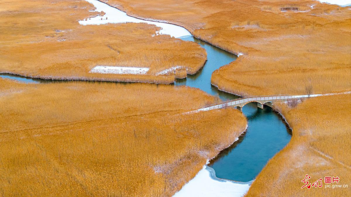 【冰雪暖民生】走遍甘肃 ,赴一场雪的邀约 【冰雪暖民生】走遍甘肃 ,赴一场雪的邀约