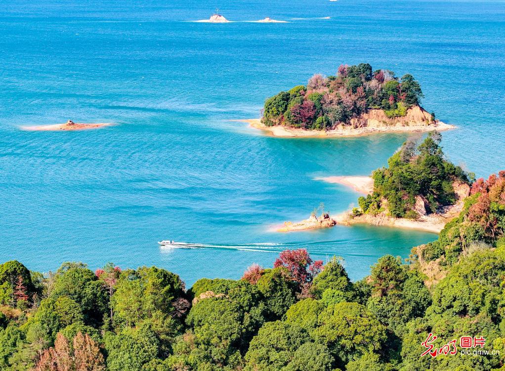 万绿湖风景如画