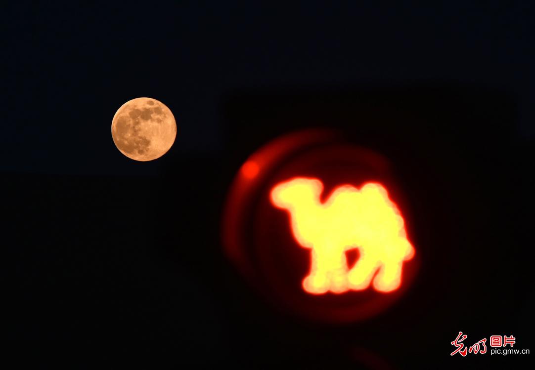 2026年首个“超级月亮”现身天宇