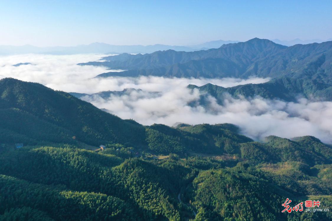 生态美景入画来