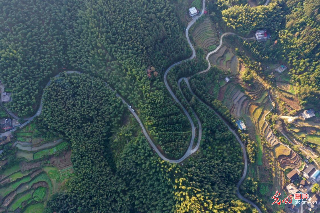 生态美景入画来