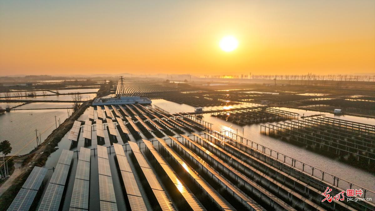 渔光互补助力乡村振兴