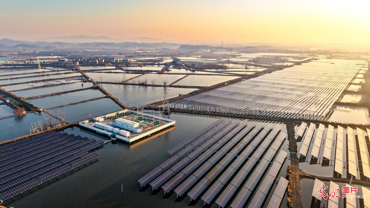 渔光互补助力乡村振兴