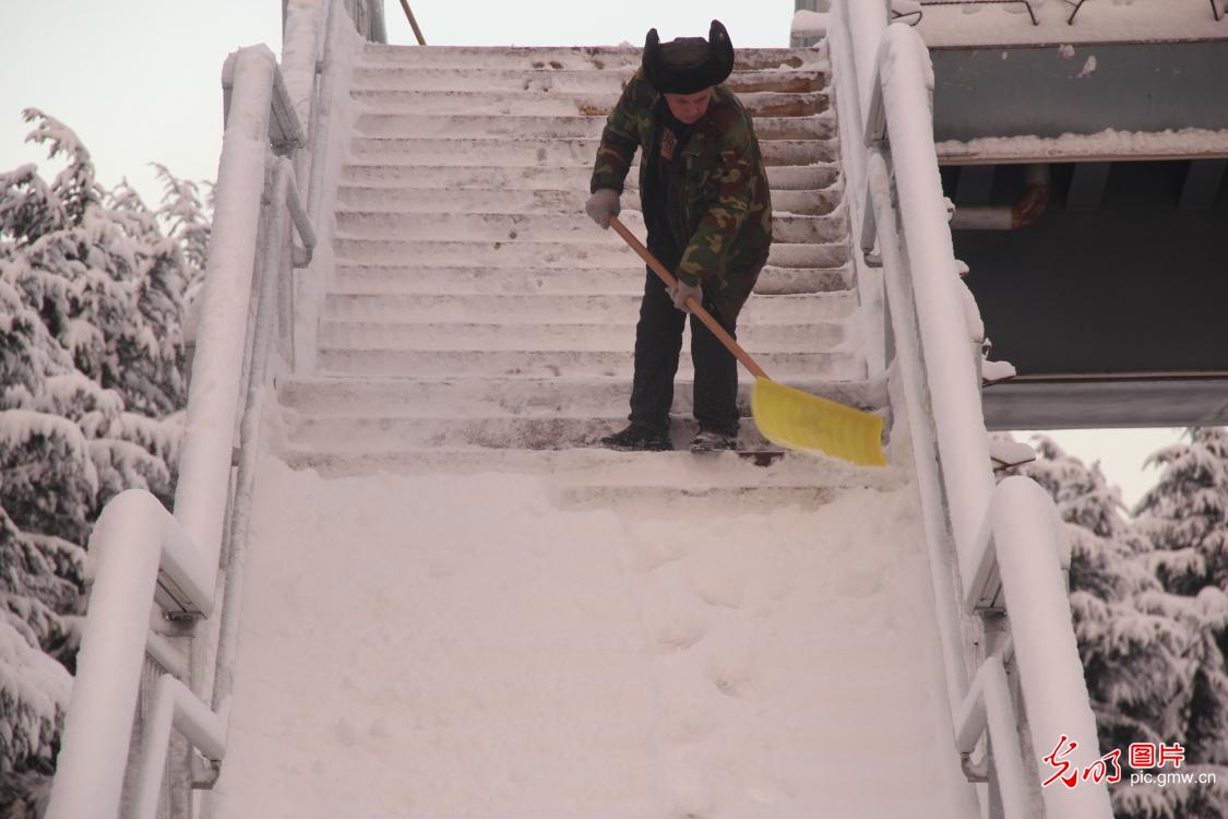 【致敬奋斗者・寒冬里的坚守】山东威海：风雪坚守护通途
