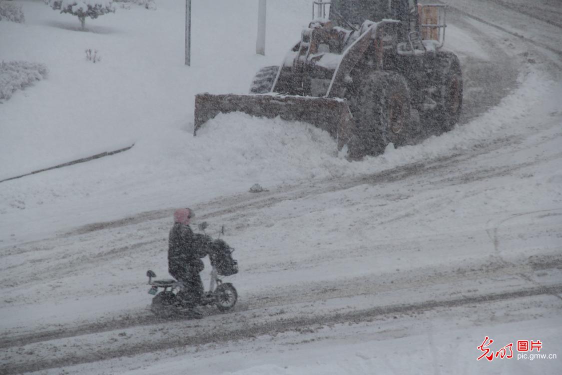 【致敬奋斗者・寒冬里的坚守】山东威海：风雪坚守护通途