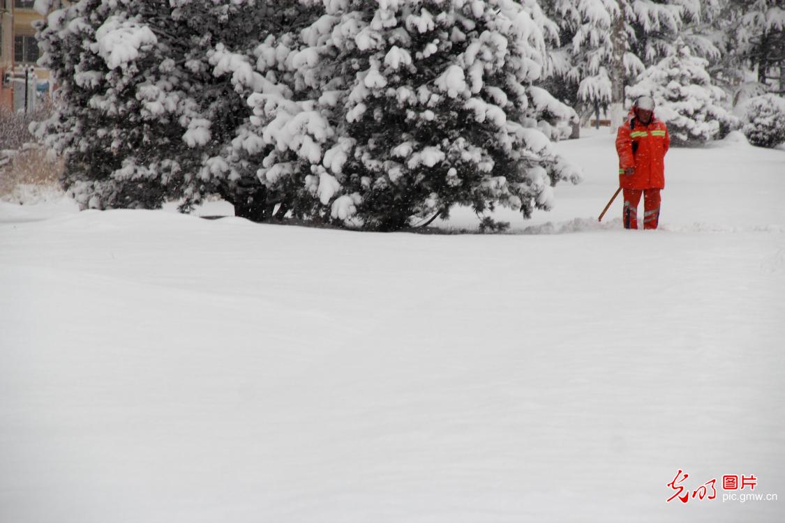 【致敬奋斗者・寒冬里的坚守】山东威海：风雪坚守护通途