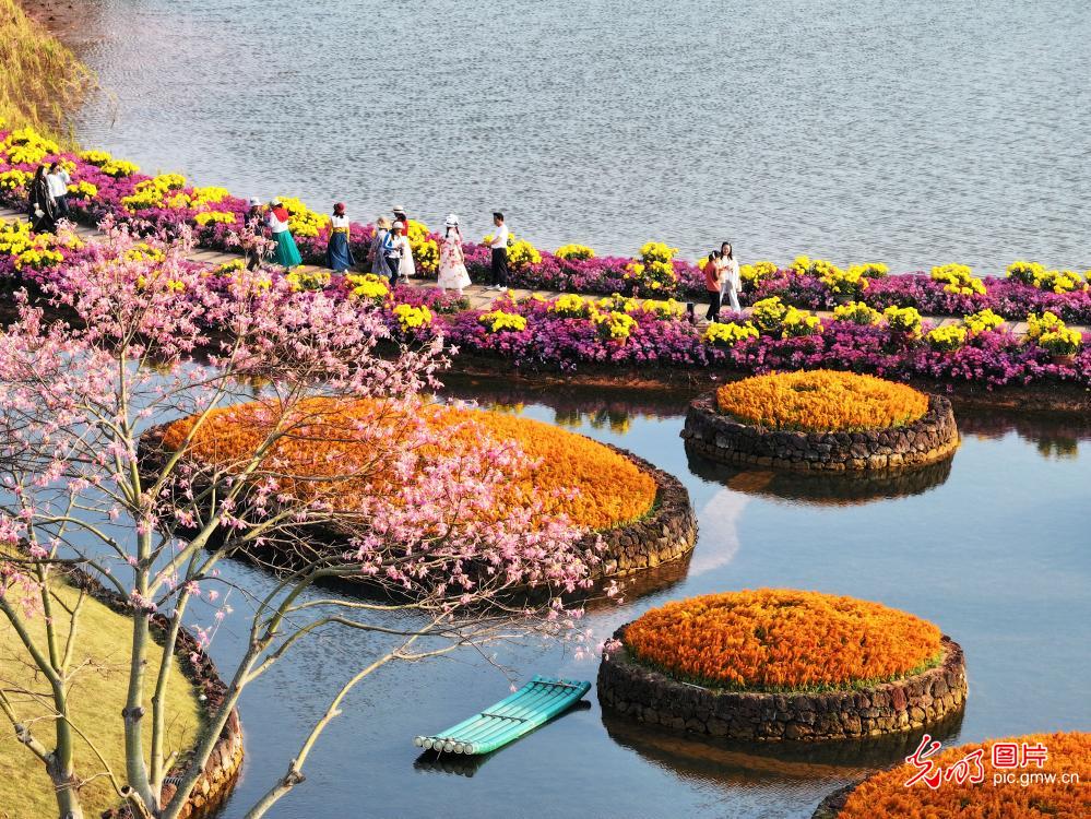 冬季赏花正当时