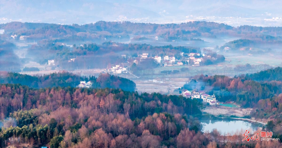 冬日乡村水墨画卷