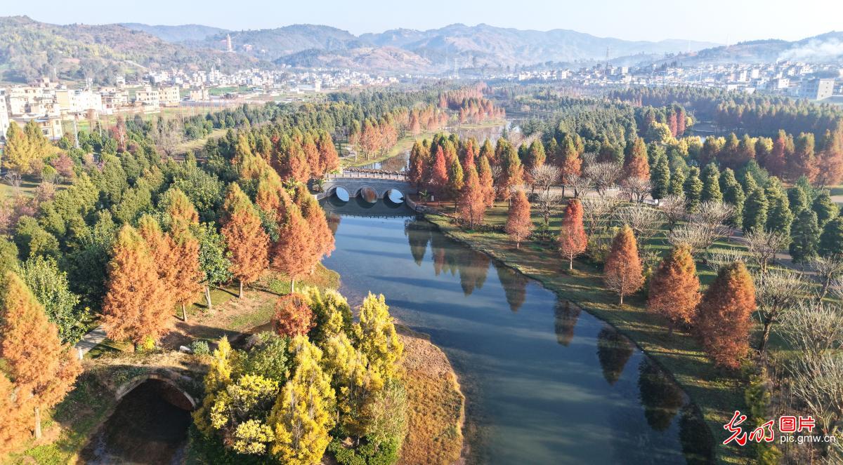 湿地公园 色彩斑斓