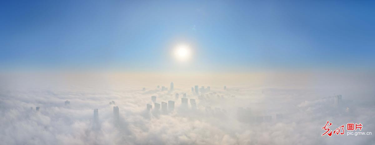 晨雾绕城别样美