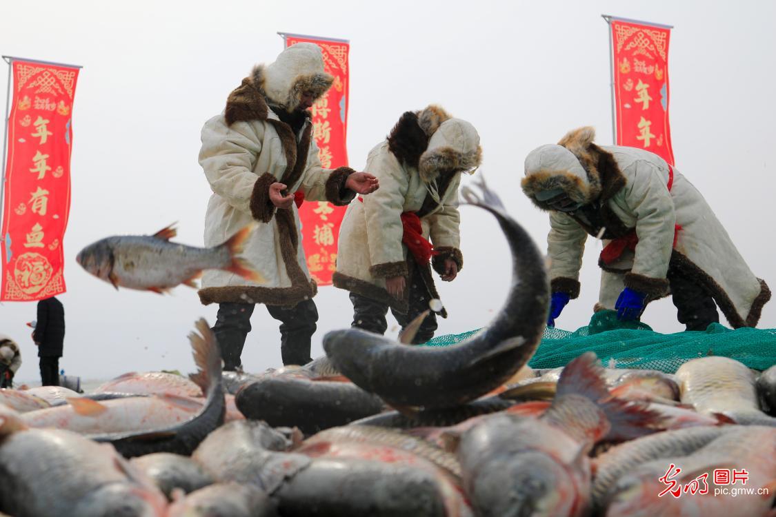 新疆博斯腾湖冬捕人欢鱼跃