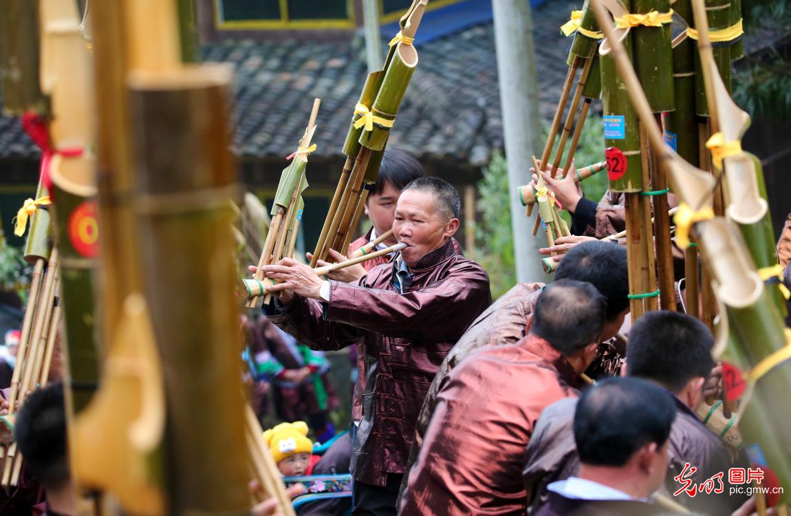 踏歌起舞 欢庆苗年