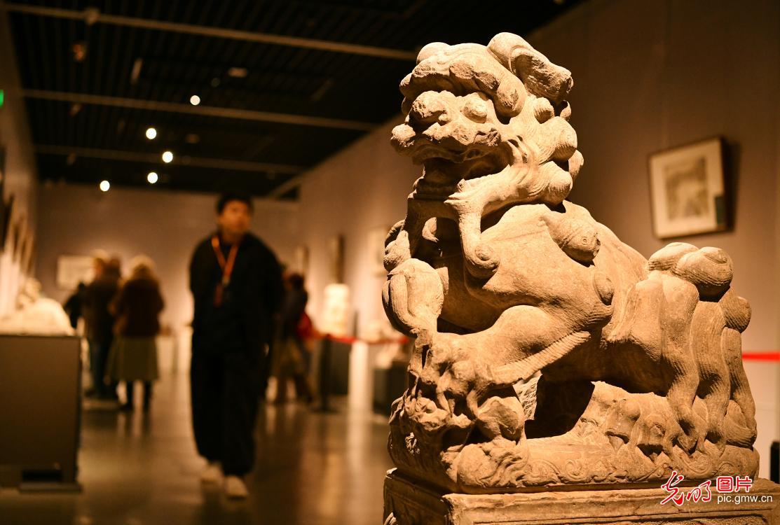 千年狮魂凝石刻 百狮献瑞聚沧州