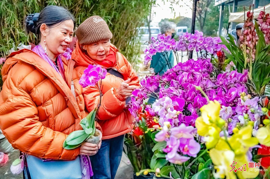 逛大集、选年货 这才是过年的正确打开方式
