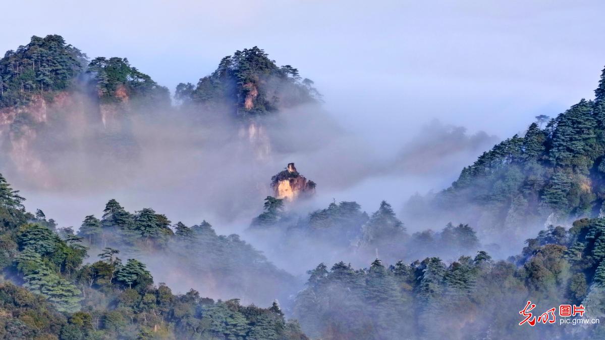 冬日莽山美如画