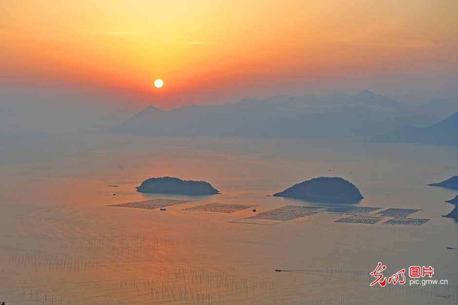 寻味中国年 解锁新春多元可能