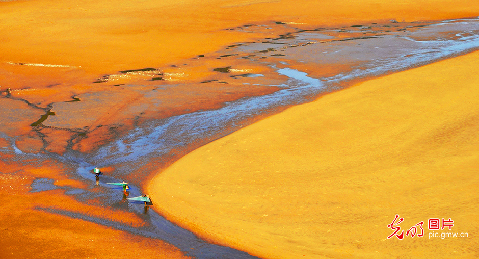 寻味中国年 解锁新春多元可能
